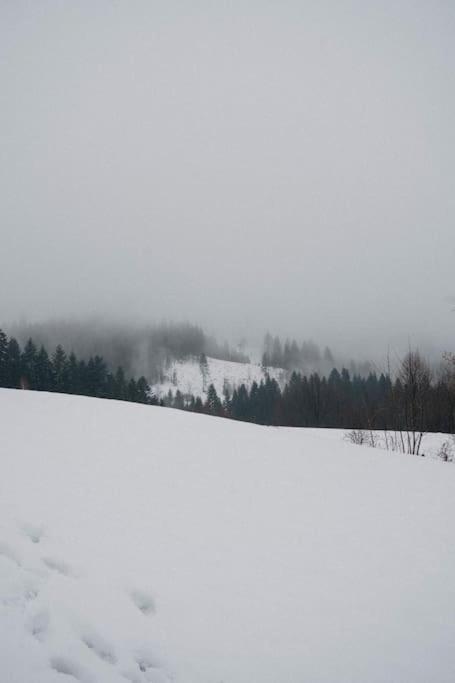 Acko Villa Ócsad Kültér fotó