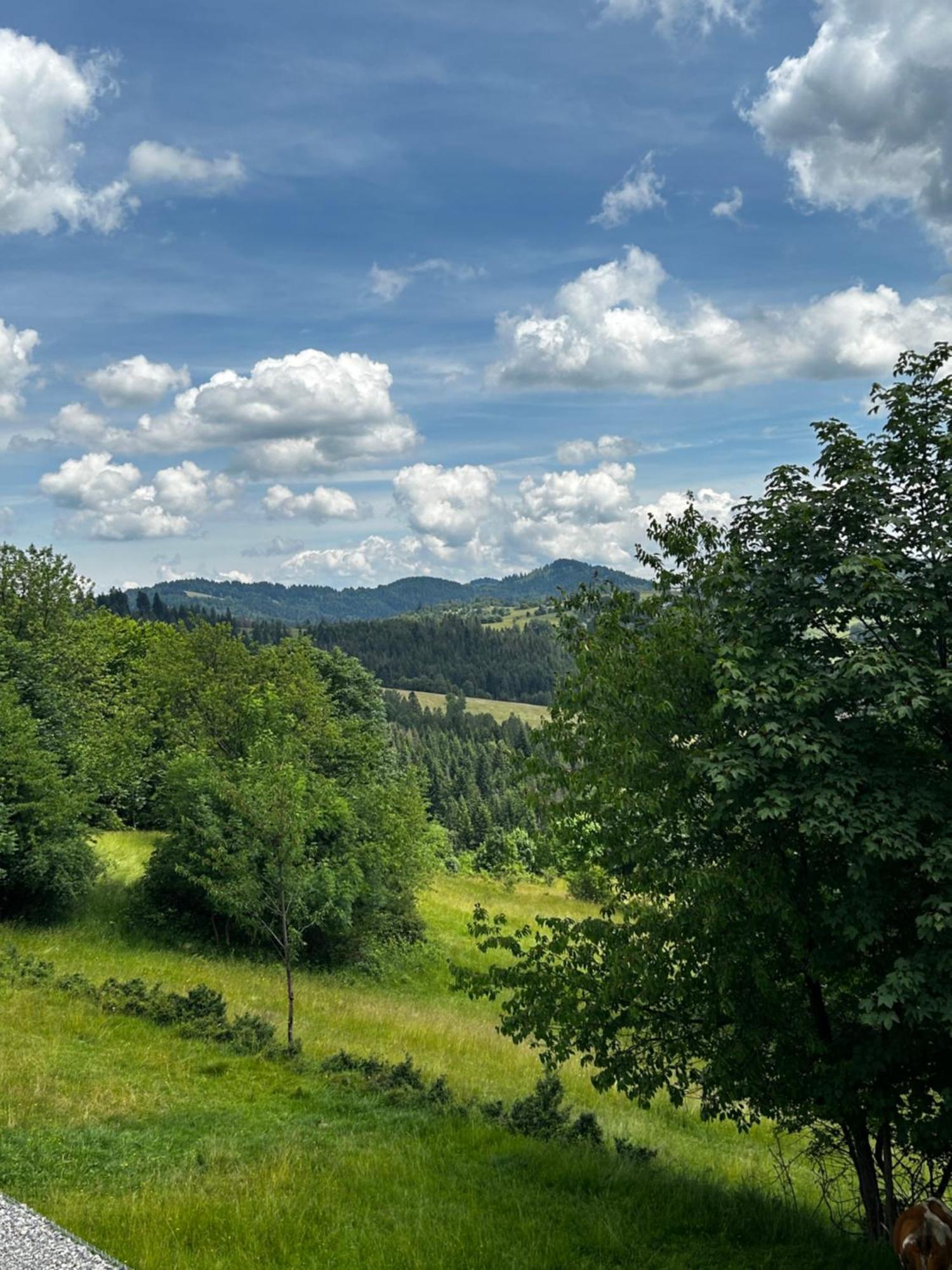 Acko Villa Ócsad Kültér fotó