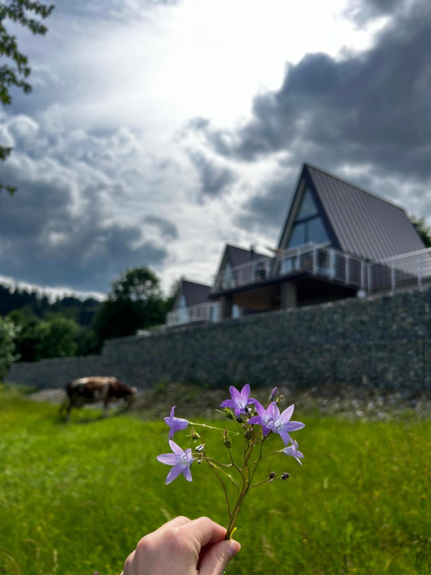 Acko Villa Ócsad Kültér fotó